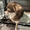 一旦募集停止します サムネイル4