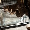 一旦募集停止します サムネイル5