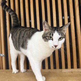 【3/29東銀座】ノートくん★４歳♪