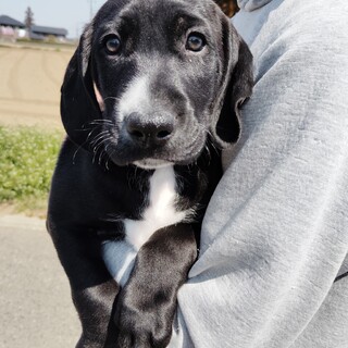 ７兄妹の末っ子四男☆ジェムくん