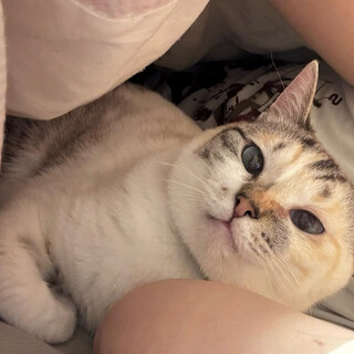 ブルーアイで綺麗で可愛い朝日ちゃん♡