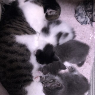 元気いっぱい！仲良し三兄弟！