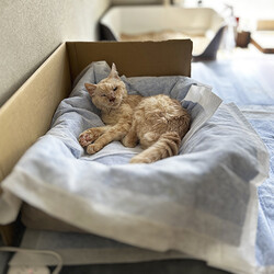 18歳になったはいいが…