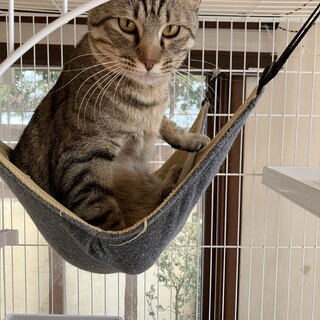 元気いっぱいバッハ