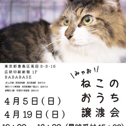 ◇ミャオ！ねこのおうち◇譲渡会◇