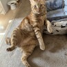 の写真