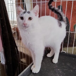 そら・スリスリベタベタ、初心者向き