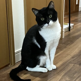 【4/5三田】キリッとイケメン白黒マスクBOY★