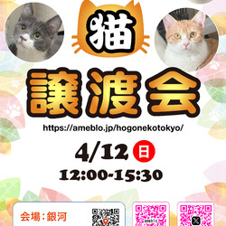 ほごねこ東京譲渡会＠駒込