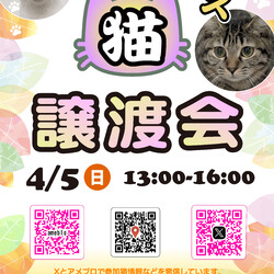 ほごねこ東京譲渡会＠尾久