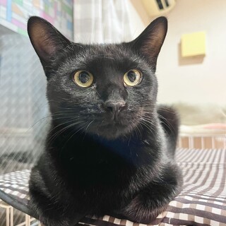 4/5高田馬場★ボネくん★マイペース男子