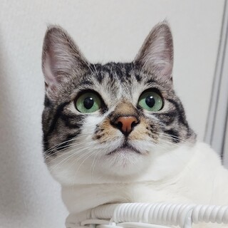 ★初夏ちゃん★慎重派GIRL