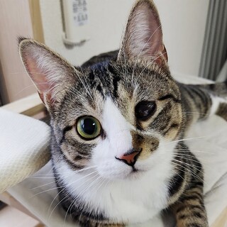 4/5高田馬場★黒豆くん★穏やかBOY