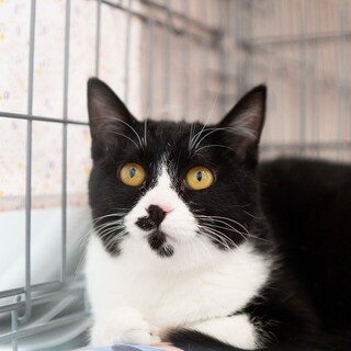 4/5高田馬場★てんかすちゃん★穏やか甘々女子