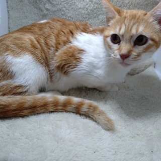 小柄で小顔な♡ろは ちゃんです