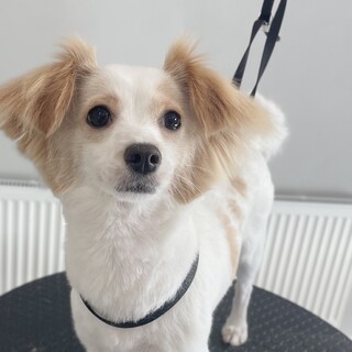 2才！人が大好きな子です！