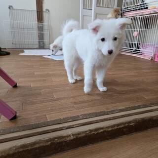 猫さんとも仲良しです