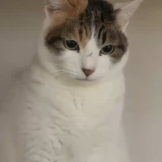 見た目も性格も、めちゃくちゃキュートな女のです♪