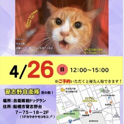 保護ねこ譲渡会（@船橋市習志野台）