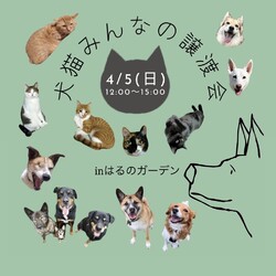 犬猫みんなの譲渡会