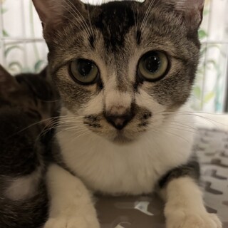 はなちゃん ︎︎ 2〜3歳 女の子