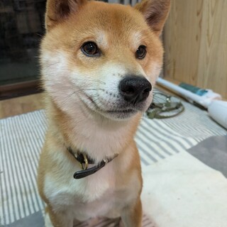 誰にでも優しくて笑顔が素敵なさすけ