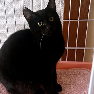 ワンコも仲良し