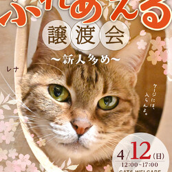 ふれあえる譲渡会～新人多め～　in大阪市