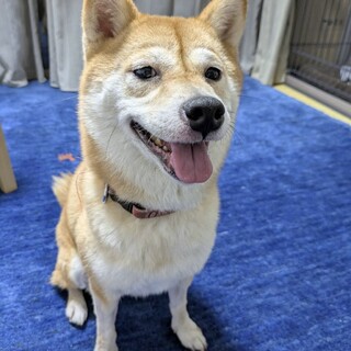 人懐っこい女の子です！