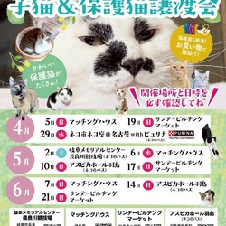 キャットマッチングハウスで譲渡会！