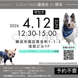 coconeel譲渡会@横浜