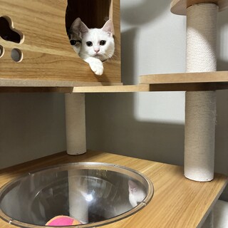 まだまだ怖がりさんのようちゃん