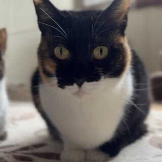 出産経験ありの優しいお母さん(*´-')