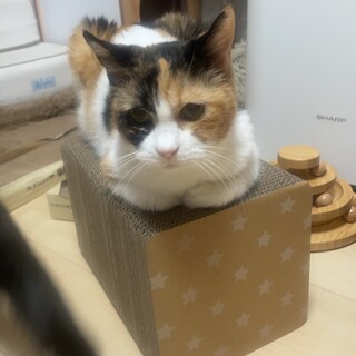 安心安全安楽な場所を探しています