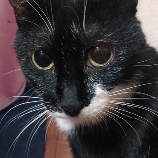 安心安全安楽な環境を探しています