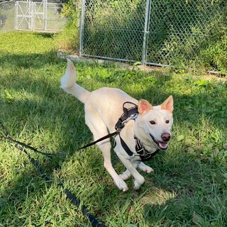 いい子なのに、なかなかご縁がありません。