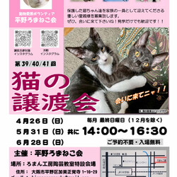 第39回 平野ろまねこ譲渡会