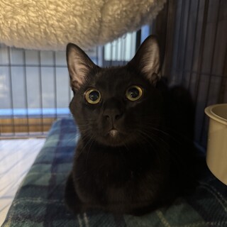 おめめがまん丸でかわいい翠雨くん⭐︎