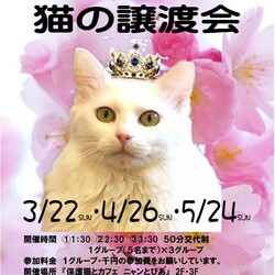 オープンシエルター譲渡会