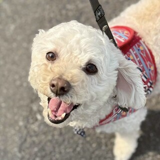 いつもニコニコ！とっても人懐っこい女の子♡