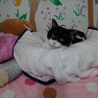 一度目が合うと忘れられないタマちゃんです！