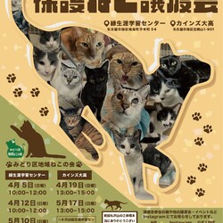 名古屋市緑区猫の譲渡会