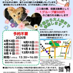 NPO法人おおさかねこネット 猫の譲渡会
