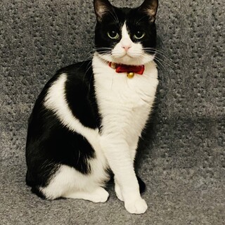 小柄なもゆるちゃん♡