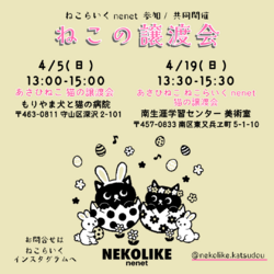 +o｡◈｡oねこの譲渡会+o｡◈｡o+