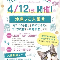 4/12(日)府中猫の会譲渡会