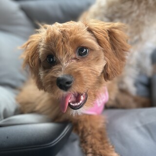 元気いっぱい女の子