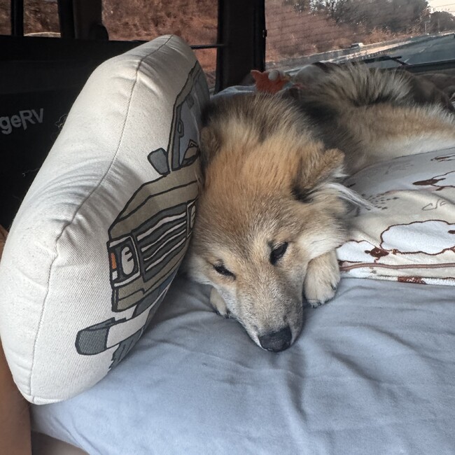 くくくくみのカバー写真