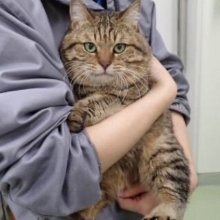 とっても人懐こい【縁（えん）】くん