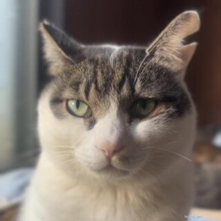 おっとりやさしい男の子！ふじおくん